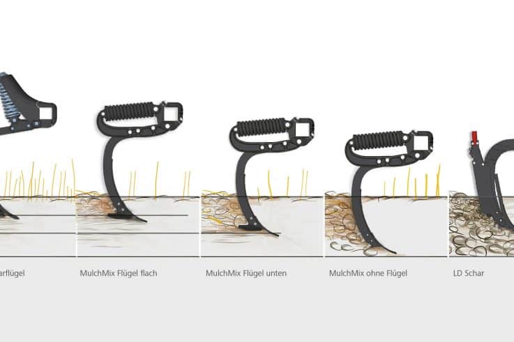HORSCH Ein ganzflächiger Schnitt als Alternative landwirt media