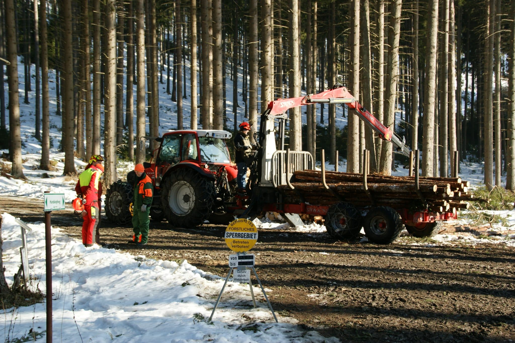 Tipps zur Sicherheit bei der Forstarbeit: So vermeiden Forstwirte Unfälle  im Wald