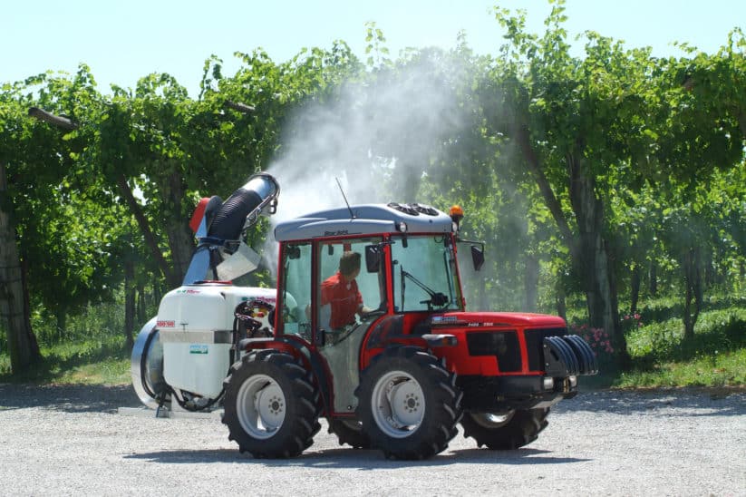 Carraro Traktor im Weinbau