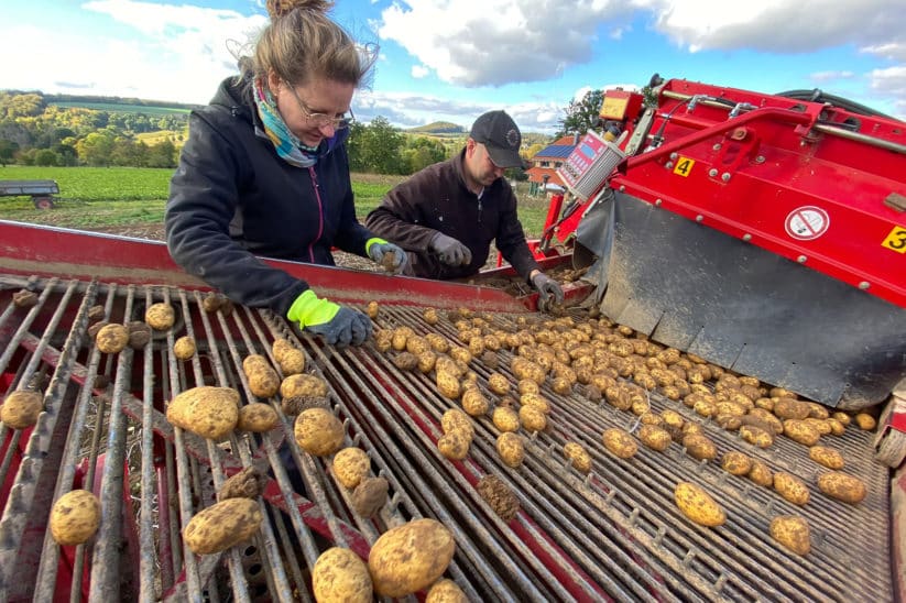 Verlustersatz Kartoffelbauern