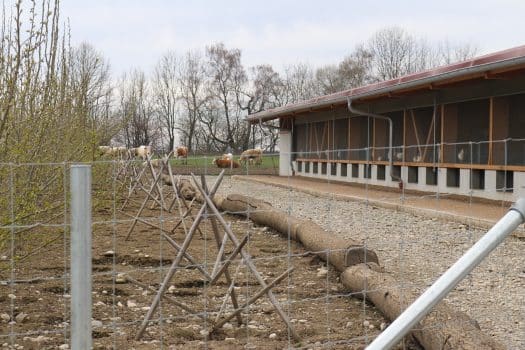 Legehennen - Kein Stall von der Stange - landwirt-media.com