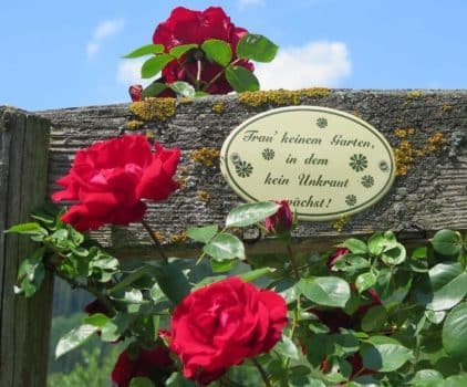 Bauerngarten Spruch