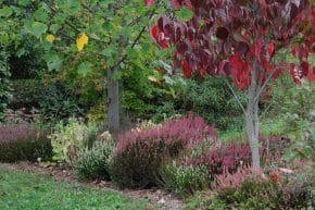 Gartenarbeit im Oktober