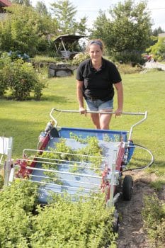 Franziska Friesenecker mit ihrer Erntemaschine