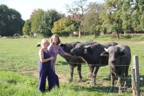 Wasserbüffel mit Landwirten