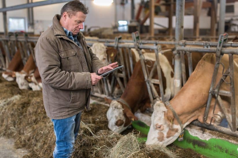 Mit Handy oder Tablet können Landwirte auch von unterwegs Daten auf einem Cloud-Server abrufen.