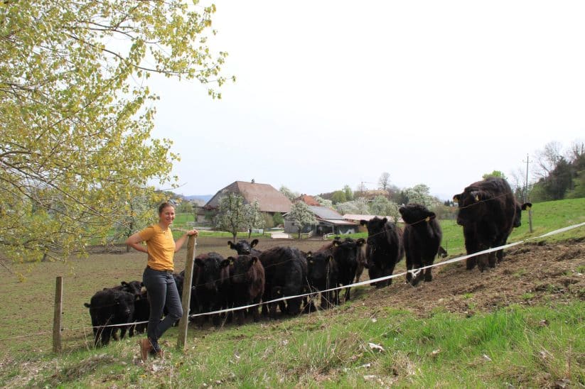 Nina Metternich mit ihren Rindern