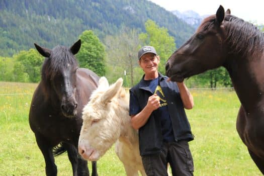 Matthias Brandstätter mit zwei Pferden und einem Esel.