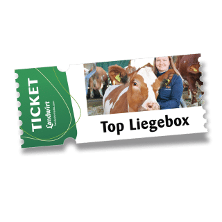 Livestream Ticket: Die Liegebox