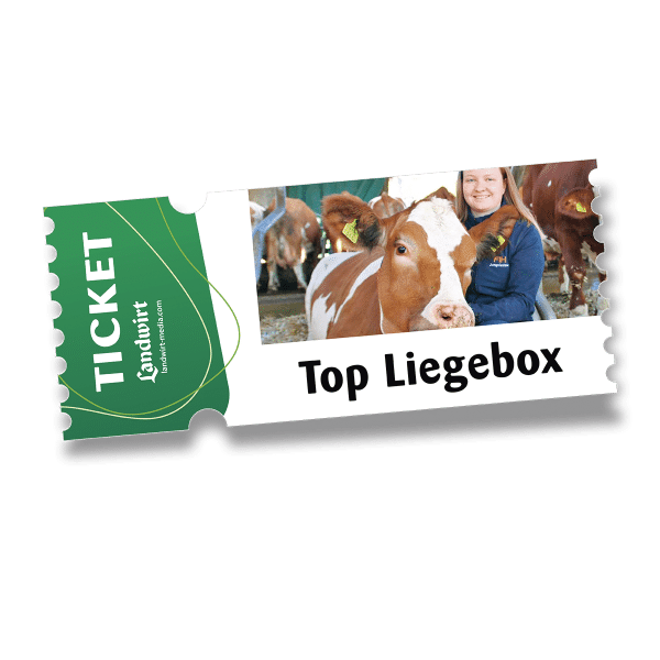 Livestream Ticket: Die Liegebox