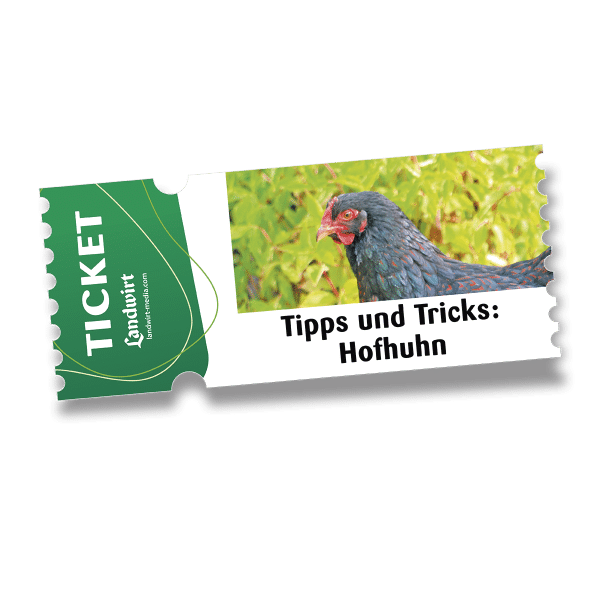 Livestream-Ticket Hofhuhn