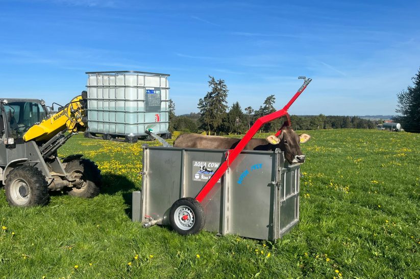 Mit einem Radlader oder Frontlader wird warmes Wasser aus einem IBC-Container in die Aquacowbox gefüllt.